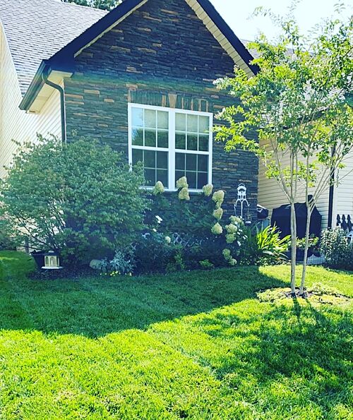 A lawn in Clarksville, TN