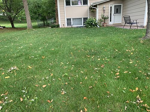 A lawn in Eden Prairie, MN