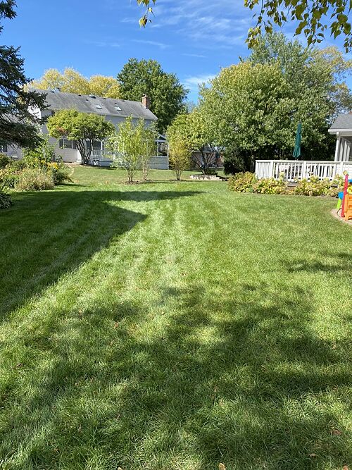 A lawn in IL