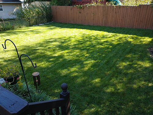 A lawn in Cincinnati, OH