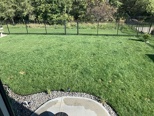 A lawn in Omaha, NE