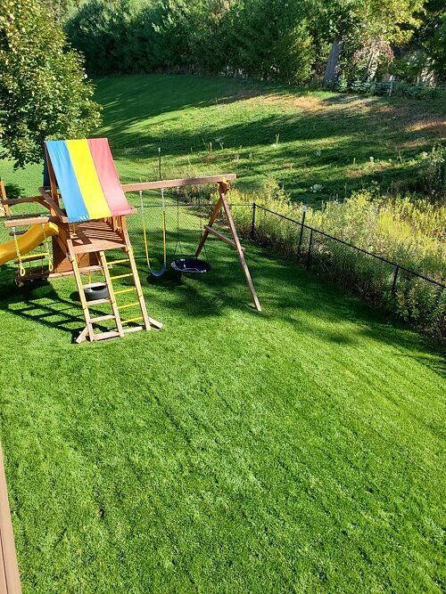 A lawn in Blaine, MN