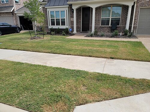 A lawn in Roanoke, TX