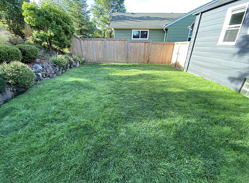 A lawn in Seattle, WA