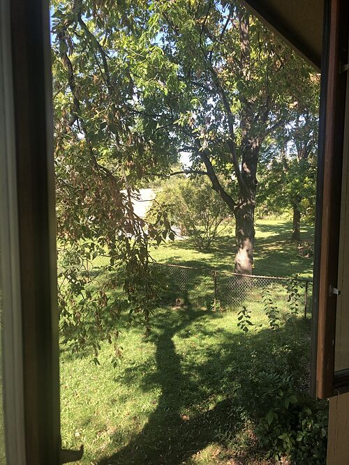 A lawn in Minnesota