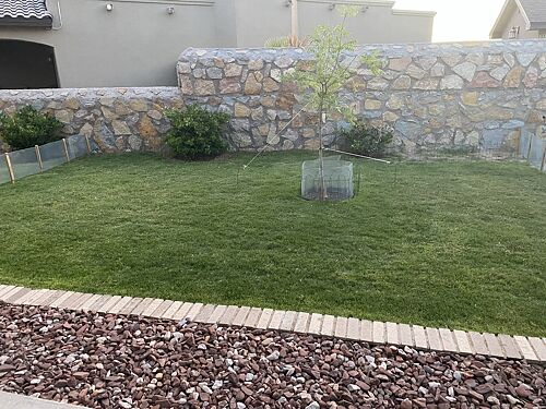 A lawn in El Paso, TX