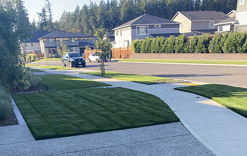A lawn in Bonney Lake, WA