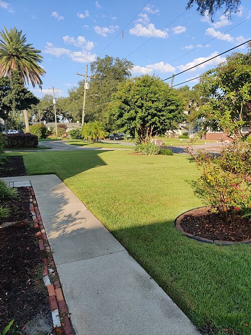 A lawn in Jacksonville, FL