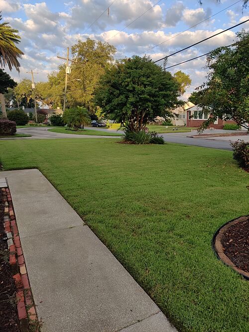 A lawn in Jacksonville, FL