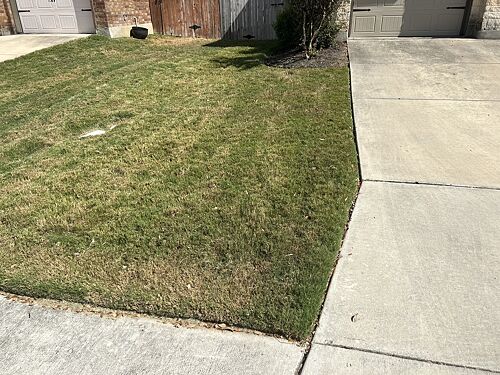A lawn in San Antonio, TX