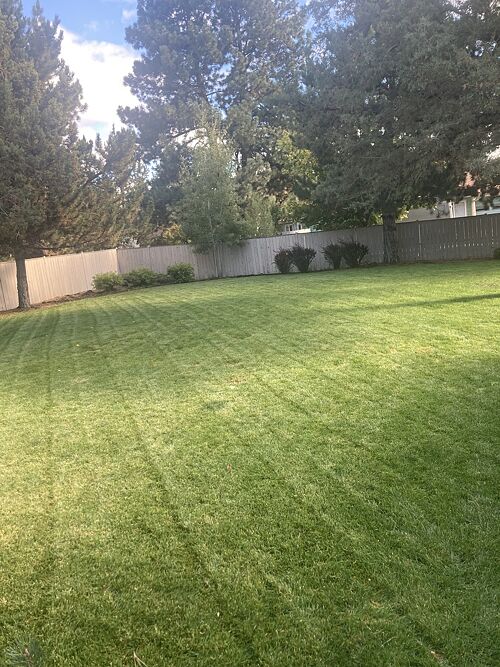 A lawn in Bend, OR