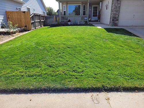 A lawn in Westminster, CO