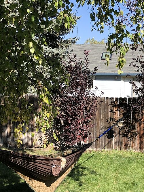 A lawn in ID