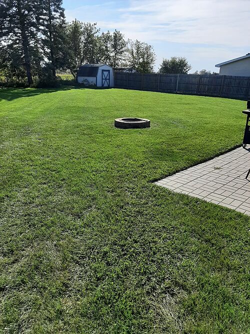 A lawn in WI