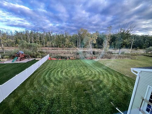 A lawn in Rochester, NY