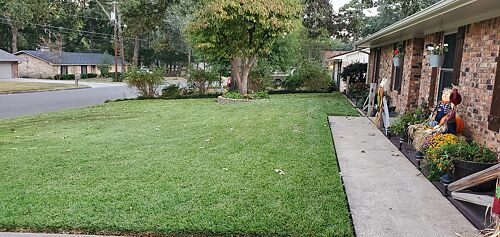 A lawn in Longview, TX