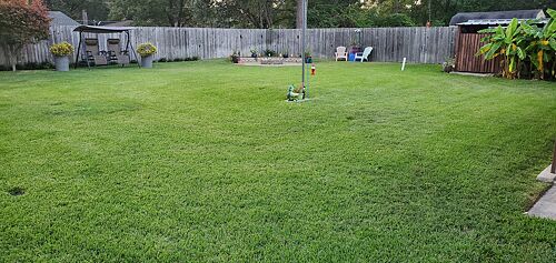 A lawn in Longview, TX