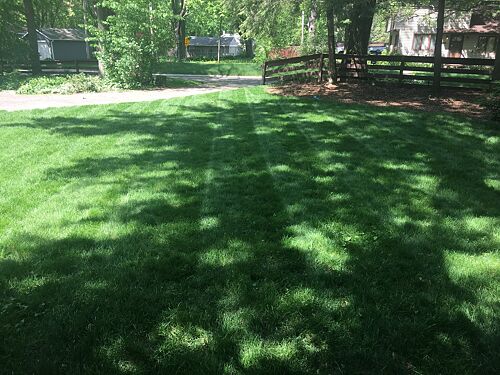 A lawn in Saint Paul, MN