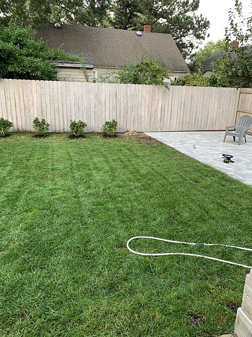 A lawn in Norfolk, VA