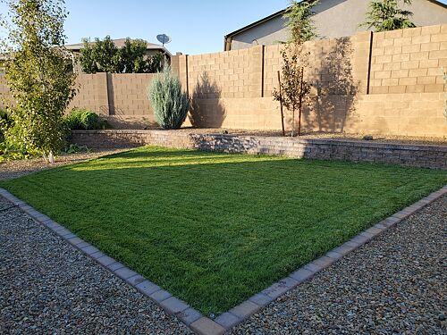 A lawn in Prescott Valley, AZ