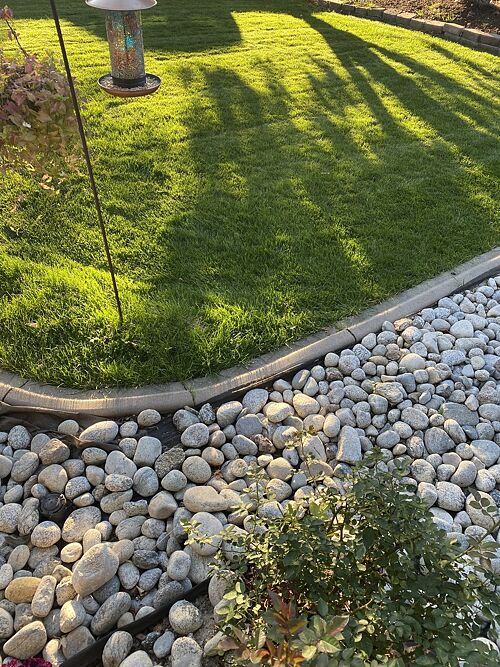A lawn in Fort Collins, CO