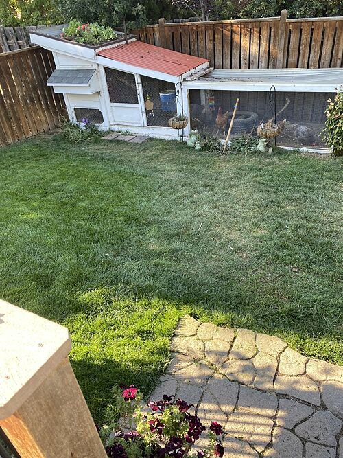 A lawn in Fort Collins, CO