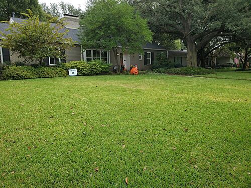 A lawn in Dallas, TX