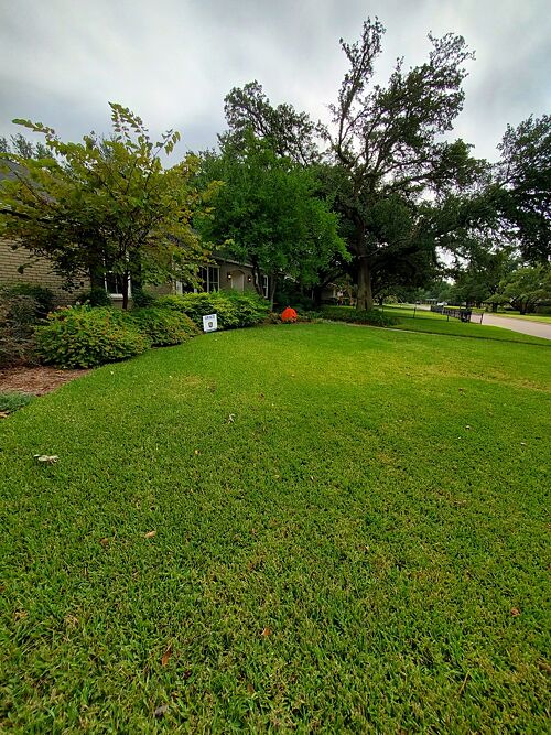 A lawn in Dallas, TX