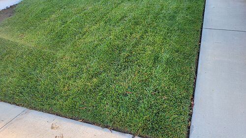 A lawn in Thousand Oaks, CA