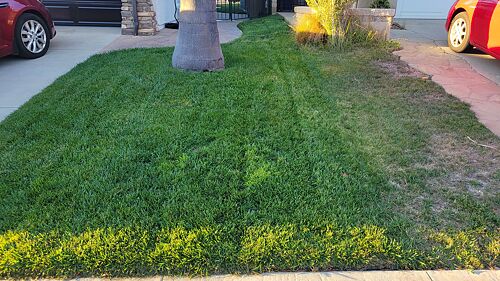 A lawn in Thousand Oaks, CA