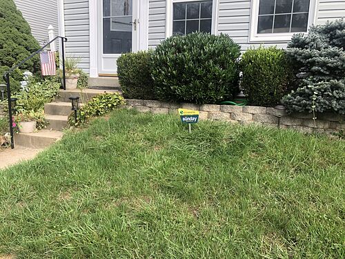 A lawn in North Potomac, MD