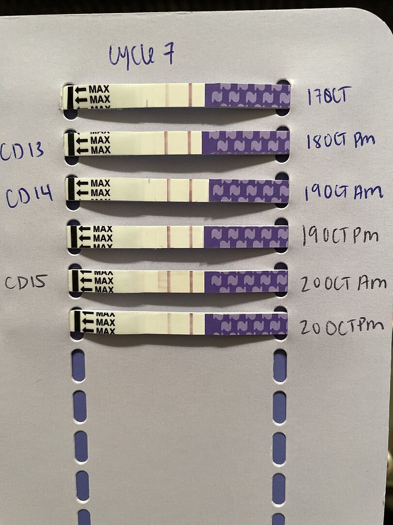 Ovulation Predictor Kit Ovulation Strips, Cup & Tracker Natalist