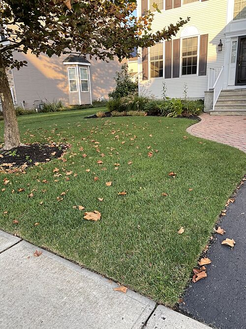 A lawn in New Jersey, NJ