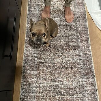 Amber Lewis x Loloi Billie BIL-06 Vintage / Overdyed Area Rugs Amber Lewis x Loloi Billie BIL-06 Vintage / Overdyed Area Rugs