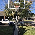 Image of Review by Reinaldo G. on  2 Nov 2021 number 3