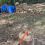 Image of Review by Fredy G. on  7 Nov 2021 number 1