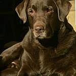Image of Review by AMELIA W. on 11 Nov 2021 number 1