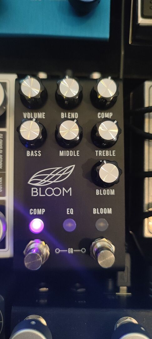 Jackson Audio Bloom Compressor EQ Boost V2 MIDI — Echoinox
