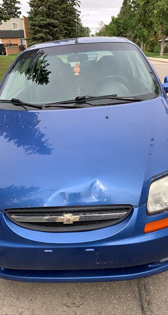 than half the cost of a body shop read less read less about hunt did