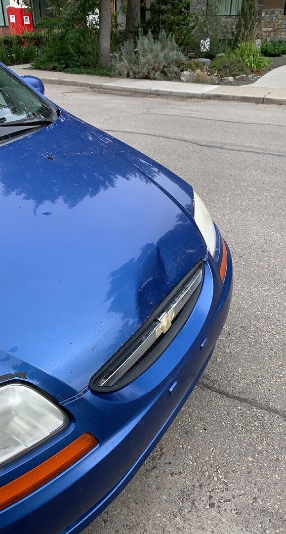 than half the cost of a body shop read less read less about hunt did