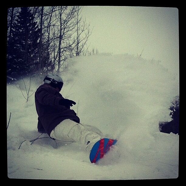 burton family tree ウェーブ トレーサー 150 burton family tree ウェーブ トレーサー 150 Burton Family