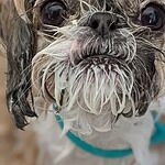 Image of Review by GAZEBO G. on 17 Jan 2022 number 1