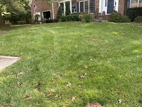 A lawn in Sterling, VA