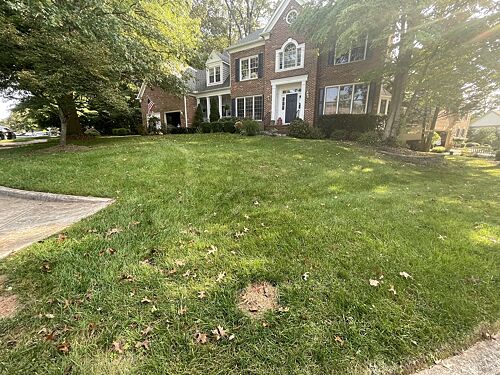 A lawn in Sterling, VA