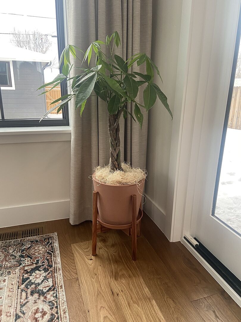 Customer photo