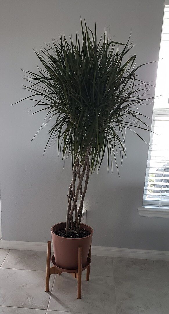 Customer photo