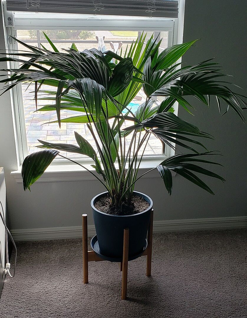Customer photo