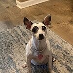 Image of Review by Annette C. on 26 Feb 2022 number 1