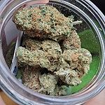 Customer Review Image