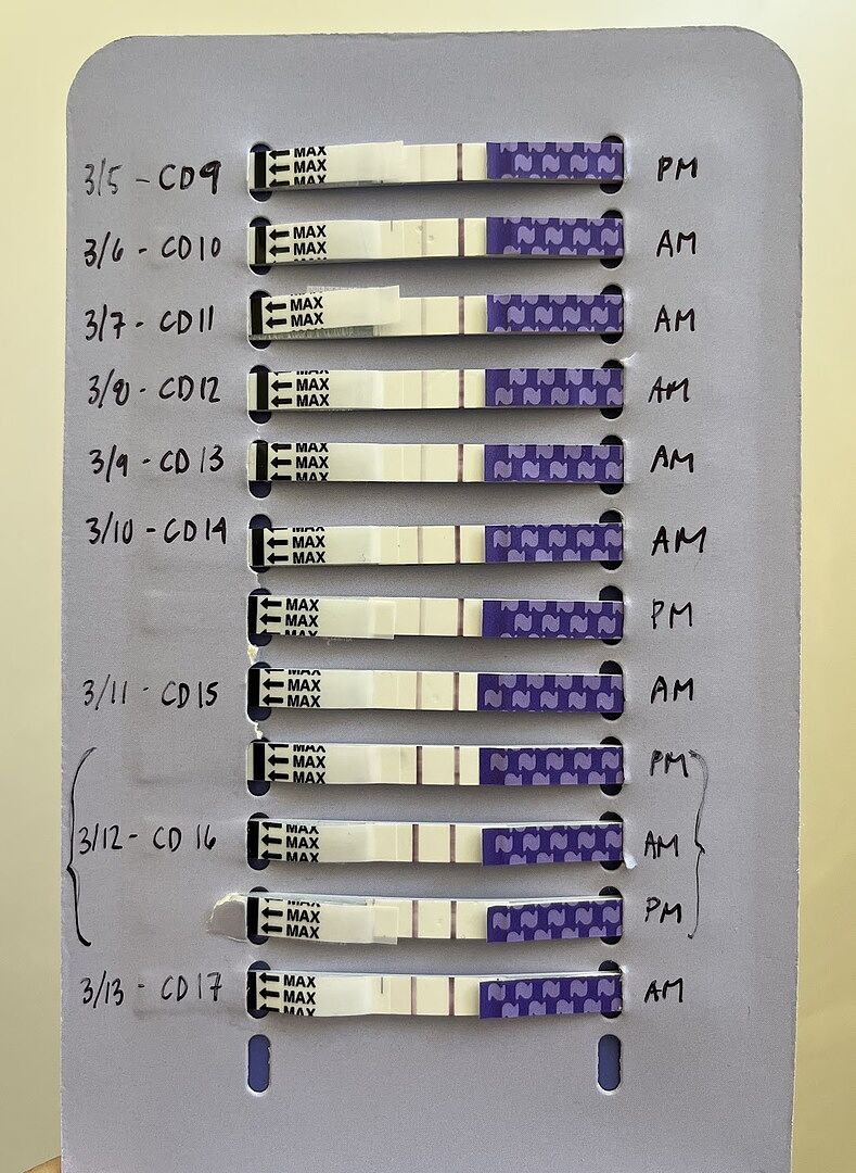 Ovulation Predictor Kit Ovulation Strips, Cup & Tracker Natalist